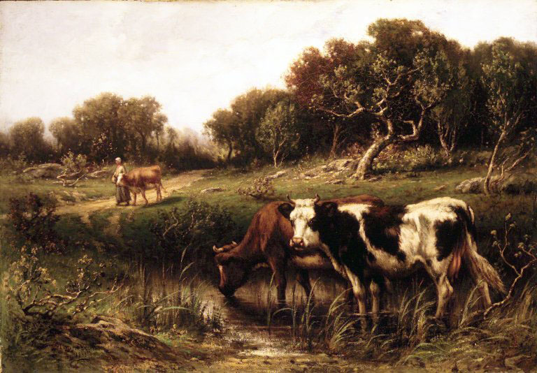 Cattle in a Pool